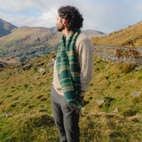 Irlandzka zieleń – skąd wzięła się jej symbolika?