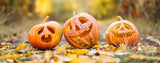 Halloween w Szkocji – tradycje i zwyczaje na Samhain