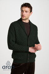 Męski kardigan z kołnierzem wełny merino - zielony